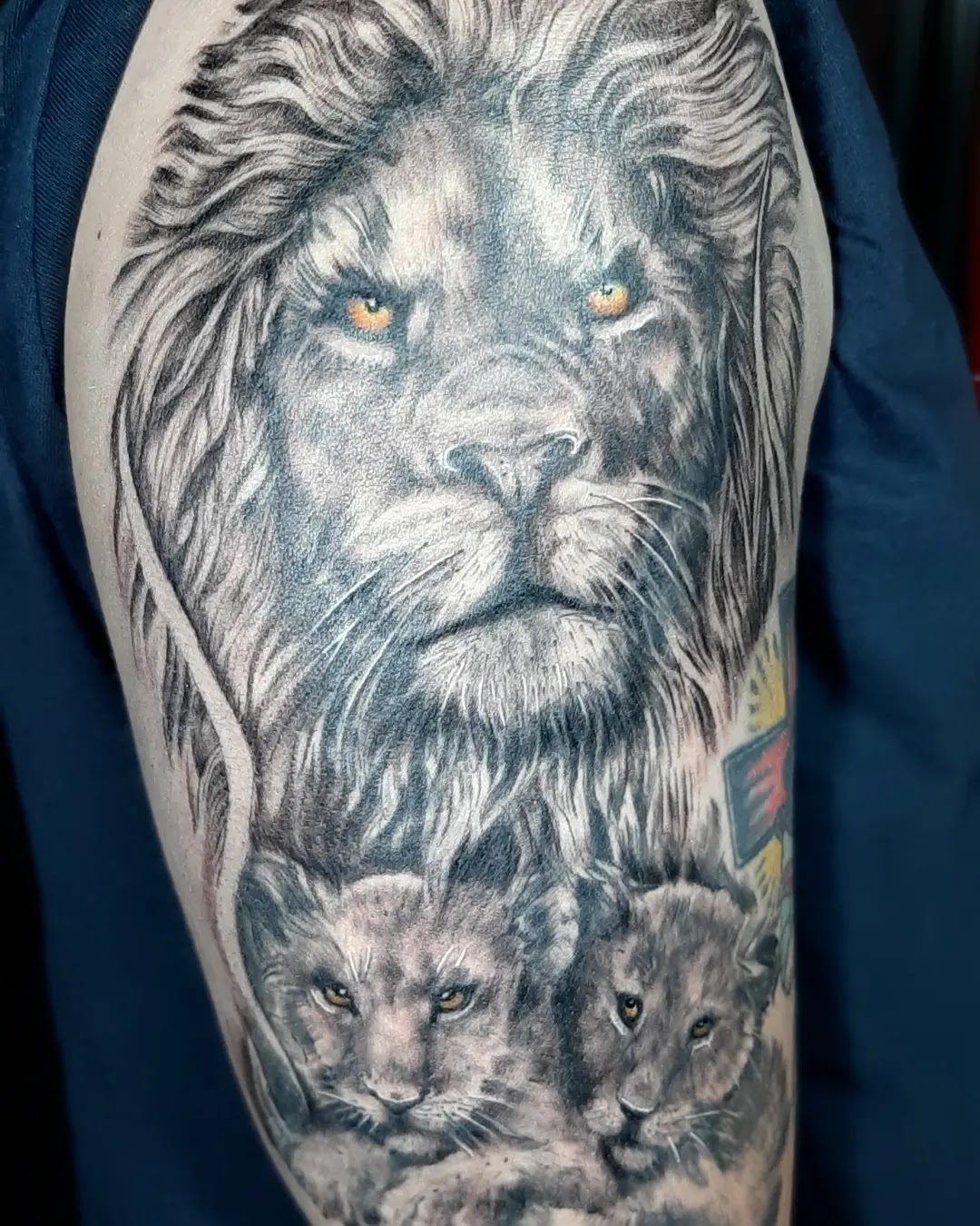 Tatuaje realista de león — trabajo de TATTO