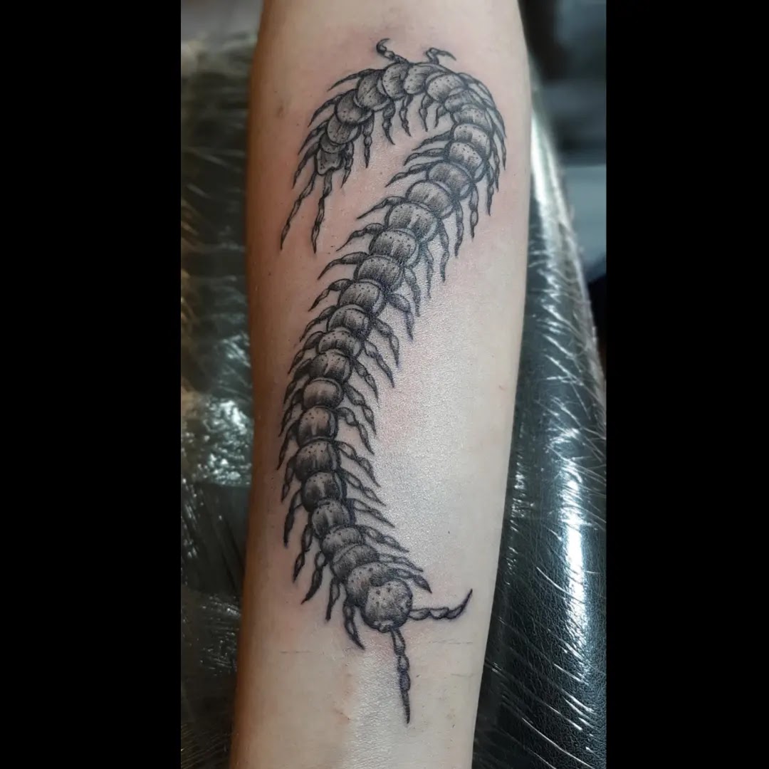 Tatuaje de ciempiés — trabajo de TATTO